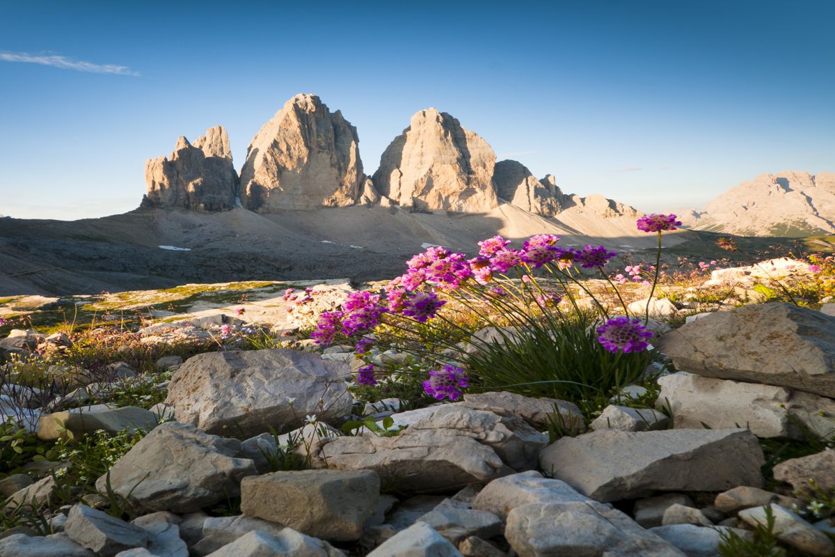 Hotel Bergland e Alta Val Pusteria: immagine 46